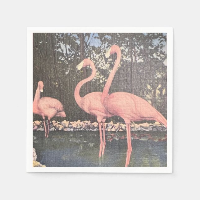 Servilleta De Papel Flamingos de época de Florida (Anverso)