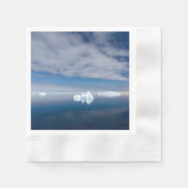 Servilleta De Papel Floating ice in Antarctica (Anverso)