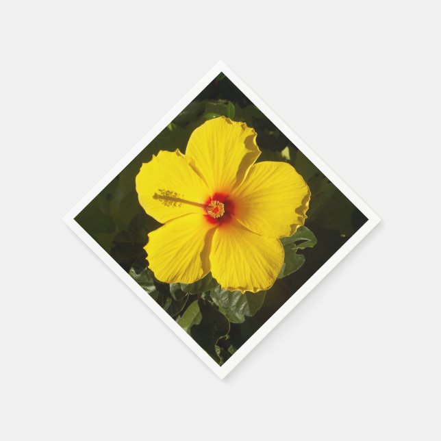 Servilleta De Papel Flor amarilla del hibisco (Borde)