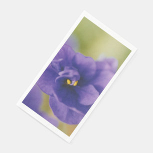 Servilleta De Papel Flor azul florecida de violeta Saintpaulia ampliad