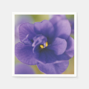 Servilleta De Papel Flor azul floreciente de violeta Saintpaulia ampli