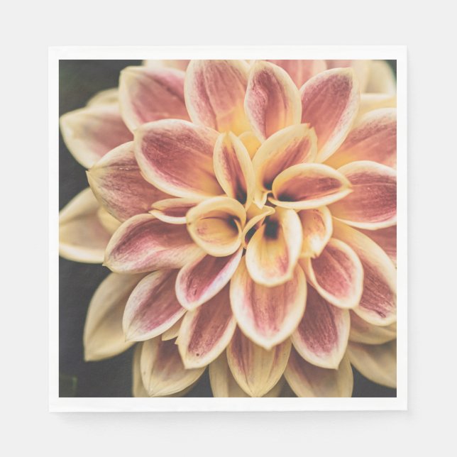 Servilleta De Papel Flor Dahlia de verano (arte floral) (Anverso)