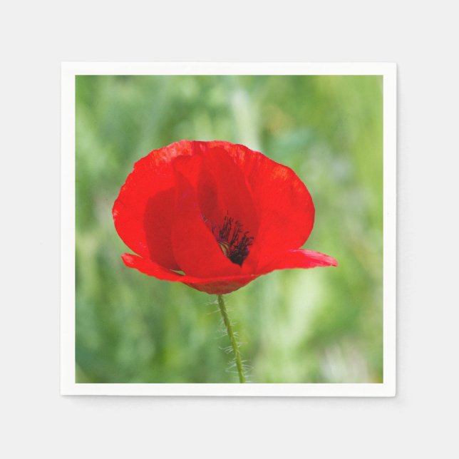 Servilleta De Papel Flor de amapola silvestre roja (Anverso)