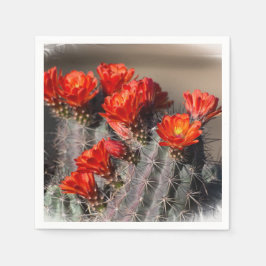 Servilleta De Papel Flor de cactus del desierto