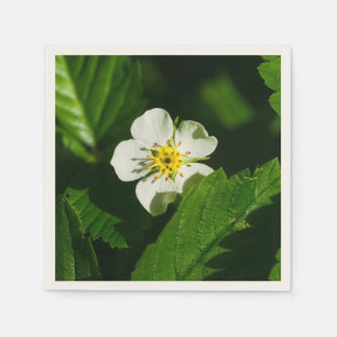 Servilleta De Papel Flor de fresa silvestre