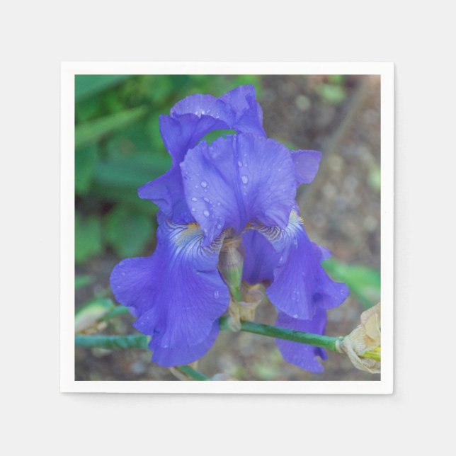 Servilleta De Papel Flor de iris azul (Anverso)