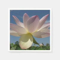 Flor de Lotus y cielo azul II