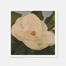 Flor de Magnolia