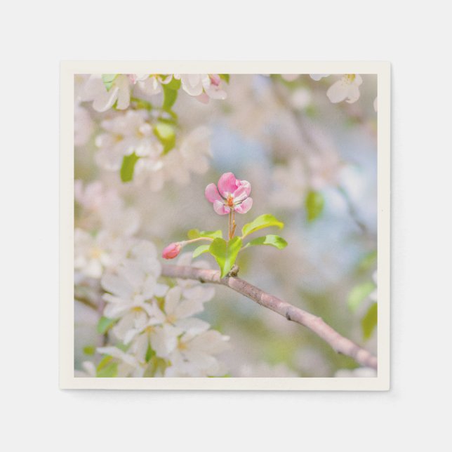 Servilleta De Papel Flor de manzano - Belleza (Anverso)