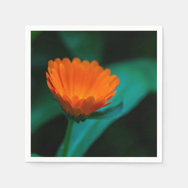 Servilleta De Papel Flor de margarita naranja (Anverso)