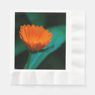 Servilleta De Papel Flor de margarita naranja