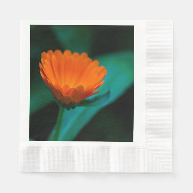 Servilleta De Papel Flor de margarita naranja (Anverso)