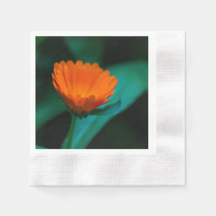 Servilleta De Papel Flor de margarita naranja