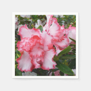 Servilleta De Papel Flor de primavera de Azaleas doble roja y blanca