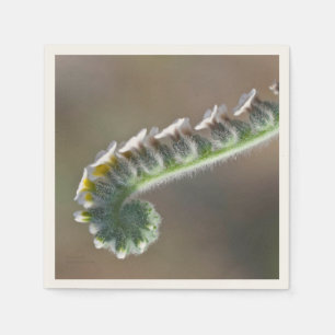 Servilleta De Papel flor de primavera rizada