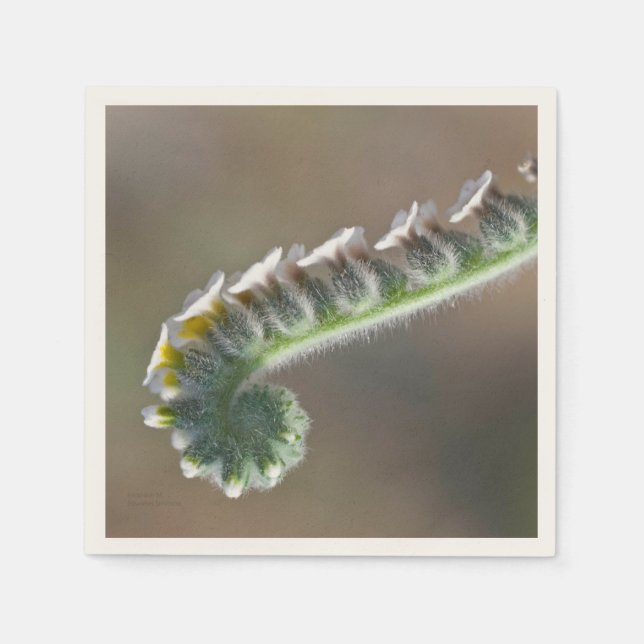 Servilleta De Papel flor de primavera rizada (Anverso)