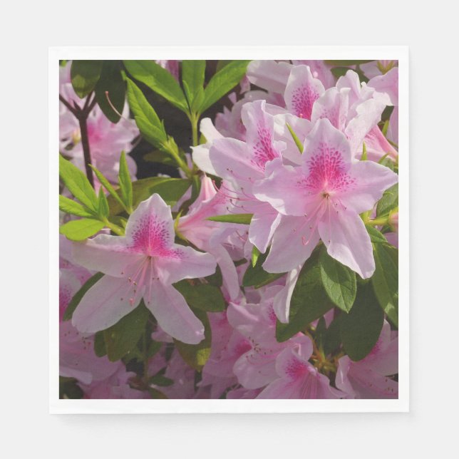 Servilleta De Papel Flor de primavera rosada de Azalea Bush (Anverso)