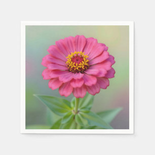 Servilleta De Papel Flor de Zinnia Rosa Vibrante Macro Botánica