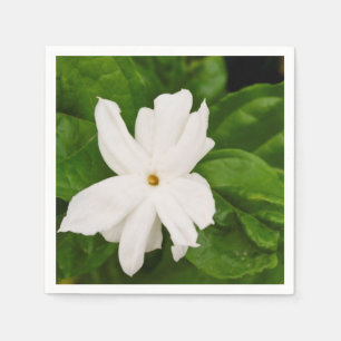 Servilleta De Papel Flor del jazmín