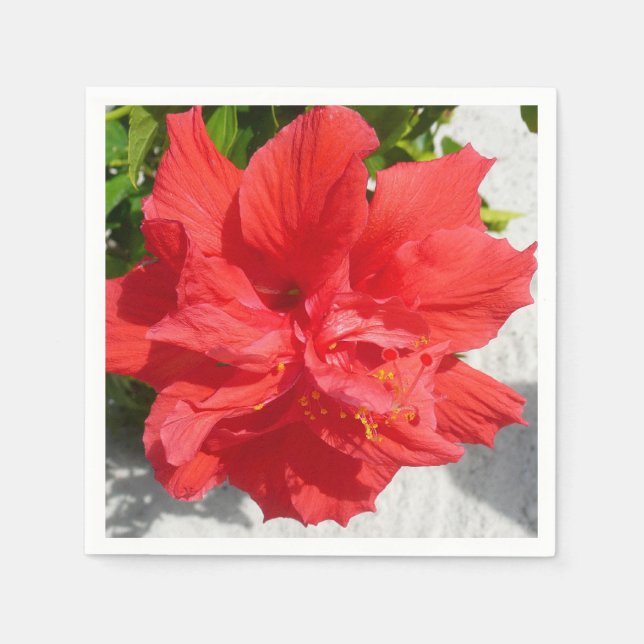 Servilleta De Papel Flor doble roja hibiscus (Anverso)