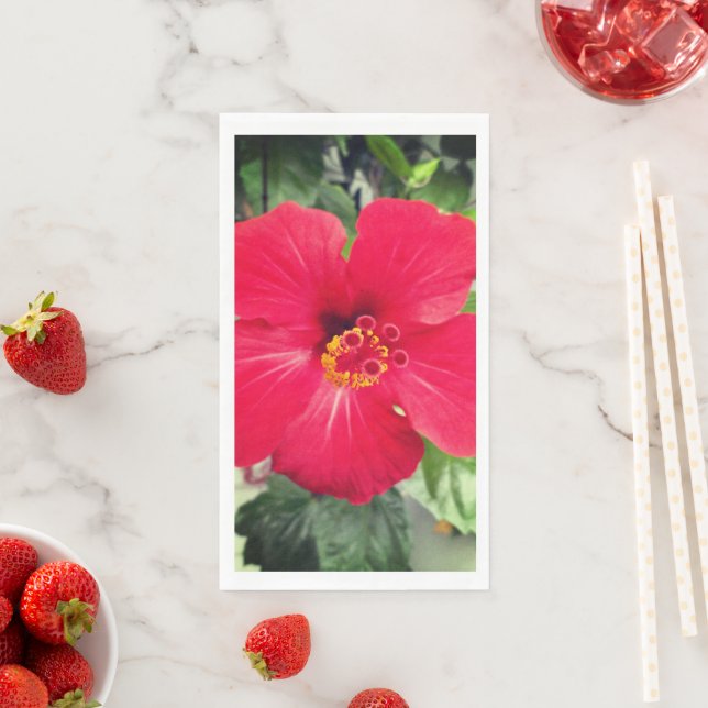 Servilleta De Papel Flor Roja de Hibisco Rosa-sinensis (In situ)