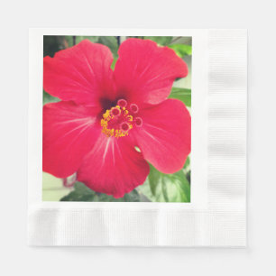 Servilleta De Papel Flor roja de Hibiscus Rosa-sinensis