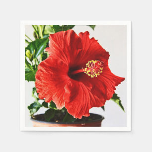Servilleta De Papel Flor roja del hibisco
