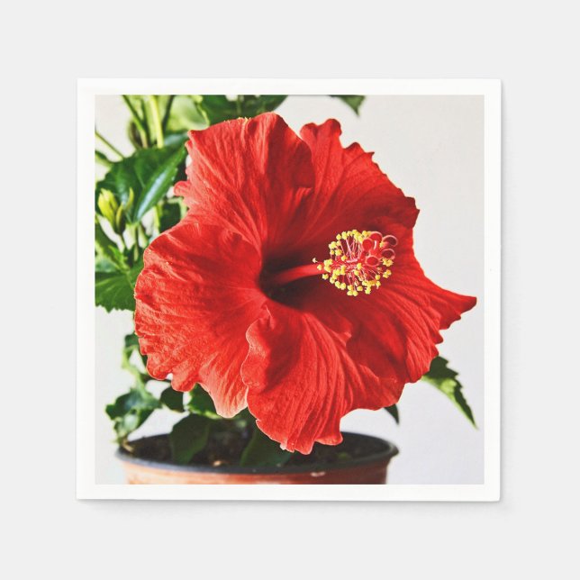 Servilleta De Papel Flor roja del hibisco (Anverso)
