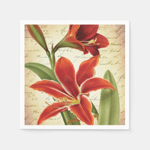 Servilleta De Papel Flor roja del navidad del Amaryllis botánica