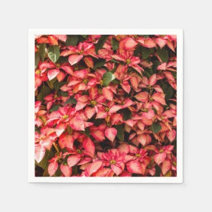 Servilleta De Papel Flor roja "Poinsettia " del navidad