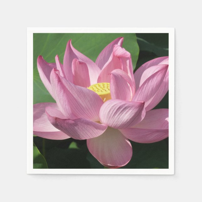 Servilleta De Papel Flor rosa Lotus IV (Anverso)