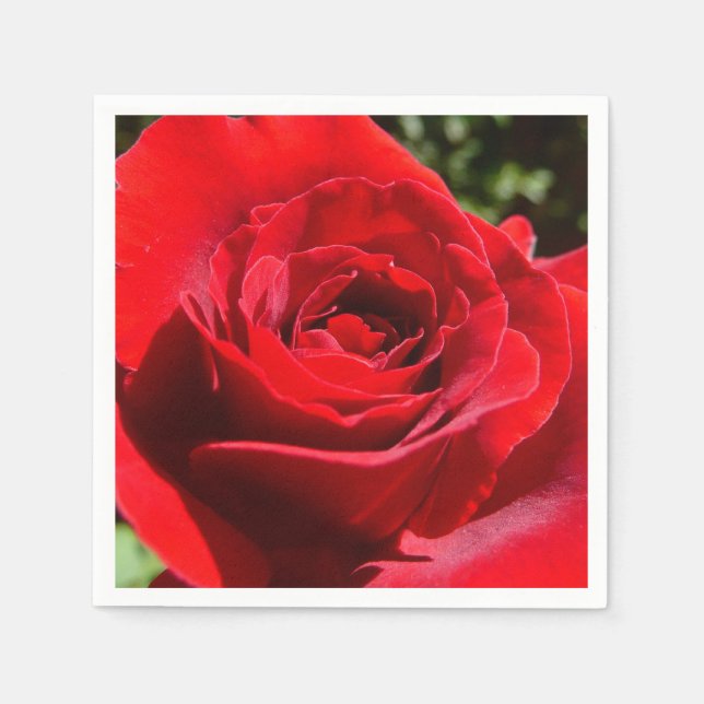 Servilleta De Papel Flor rosa roja brillante hermosa flor (Anverso)