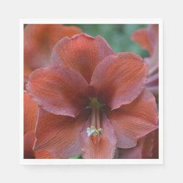 Servilleta De Papel Flor tropical roja