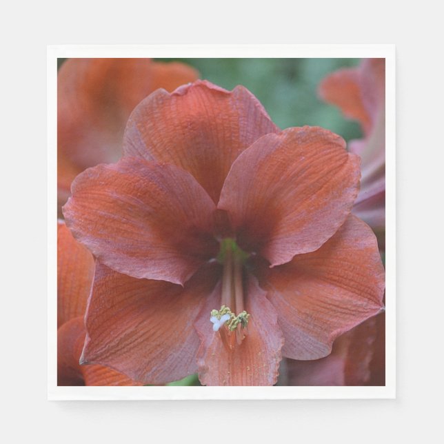 Servilleta De Papel Flor tropical roja (Anverso)