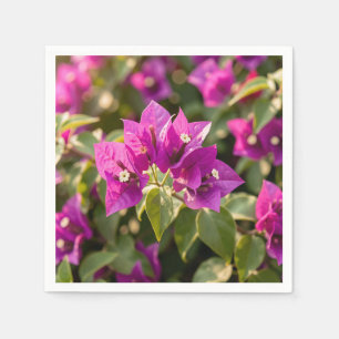 Servilleta De Papel Flor vibrante de buganvilla magenta púrpura