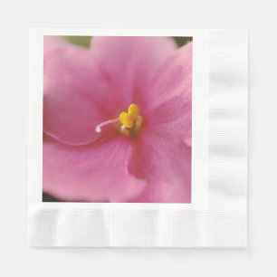 Servilleta De Papel Flor violeta rosada pastoral africana (Saintpaulia