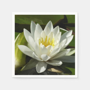 Servilleta De Papel Floral blanca y azul