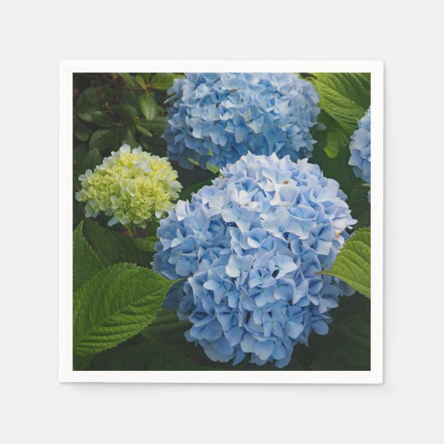 Servilleta De Papel Floral Blue Hydrangea Photo (Anverso)