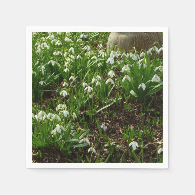 Servilleta De Papel Floral de primavera (Galanthus) (Anverso)