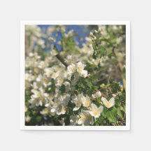 Floral Feminine