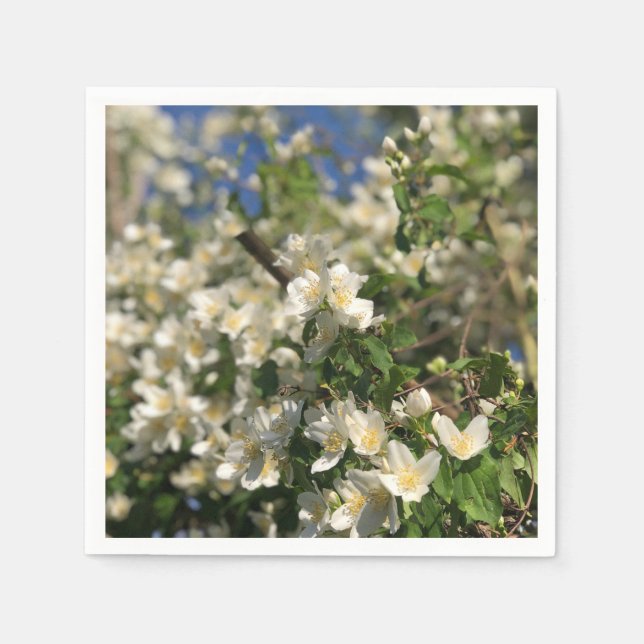 Servilleta De Papel Floral Feminine (Anverso)