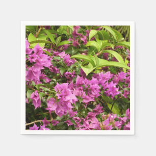 Servilleta De Papel Floral Tropical Morada Bougainvillea