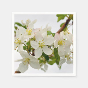 Servilleta De Papel Flores blancos hermosos