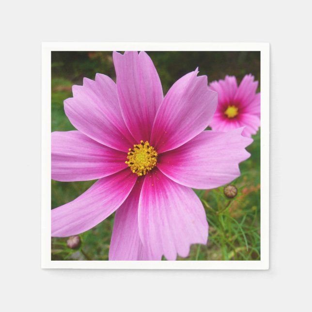 Servilleta De Papel Flores Cosmos rosadas Flores silvestres (Anverso)