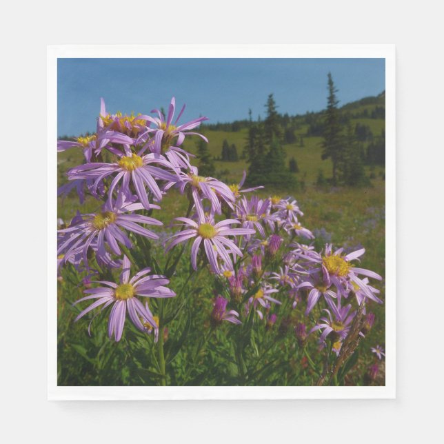 Servilleta De Papel Flores de Aster Púrpura en Mount Rainier (Anverso)