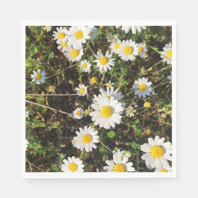 Servilleta De Papel Flores de Chamomile (Anverso)
