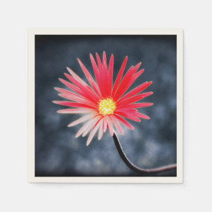 Servilleta De Papel Flores de margarita roja antiguas