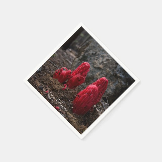 Servilleta De Papel Flores de nieve (Borde)