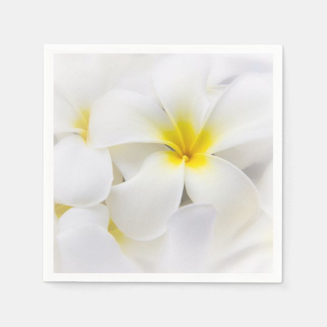 Servilleta De Papel Flores de Plumeria Flores florales de Hawái Frangi (Anverso)