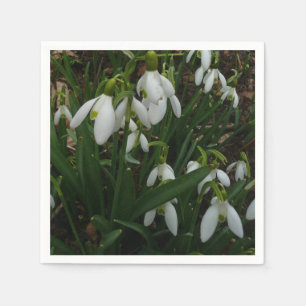 Servilleta De Papel Flores de Primavera Blanca (Galanthus)